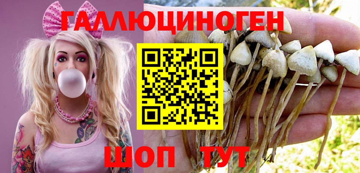 Псилоцибиновые грибы мухоморы  где продают наркотики  Полевской  Вход с VPN 