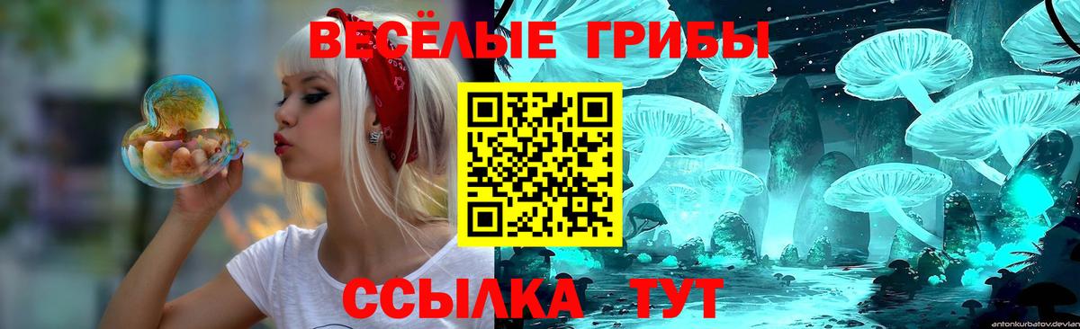 Псилоцибиновые грибы Psilocybine cubensis Полевской